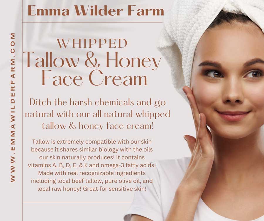 Whipped Tallow and Honey Face Cream